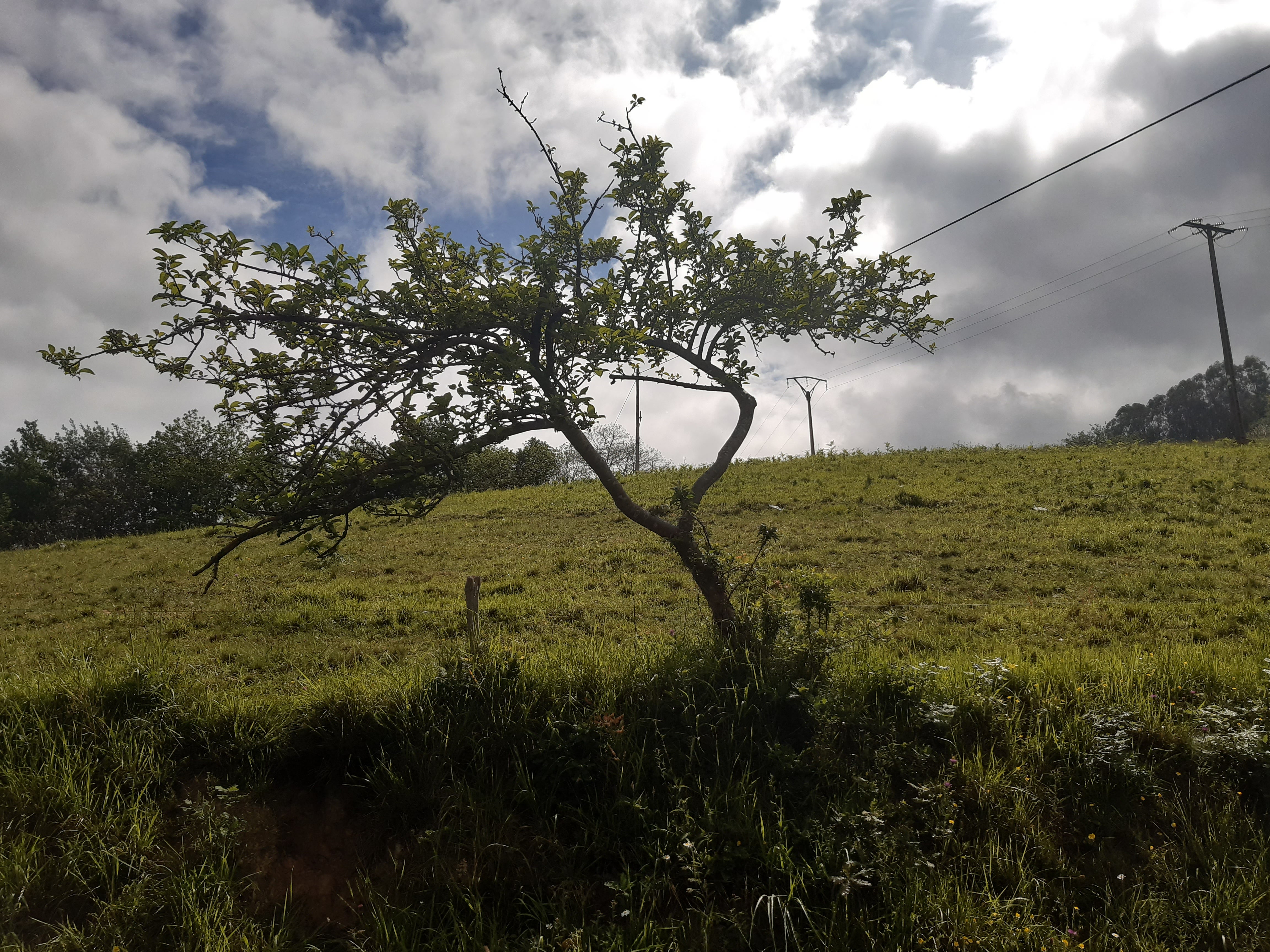 Asturias Viajera para el fin de semana del 7 al 9 de junio Asturias Viajera para el fin de semana del 7 al 9 de junio