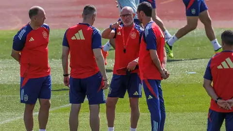 De la Fuente y los descartes para la Eurocopa De la Fuente y los descartes para la Eurocopa
