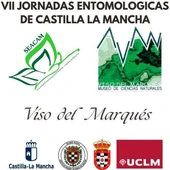 VII Jornadas Entomológicas de Castilla La Mancha VII Jornadas Entomológicas de Castilla La Mancha