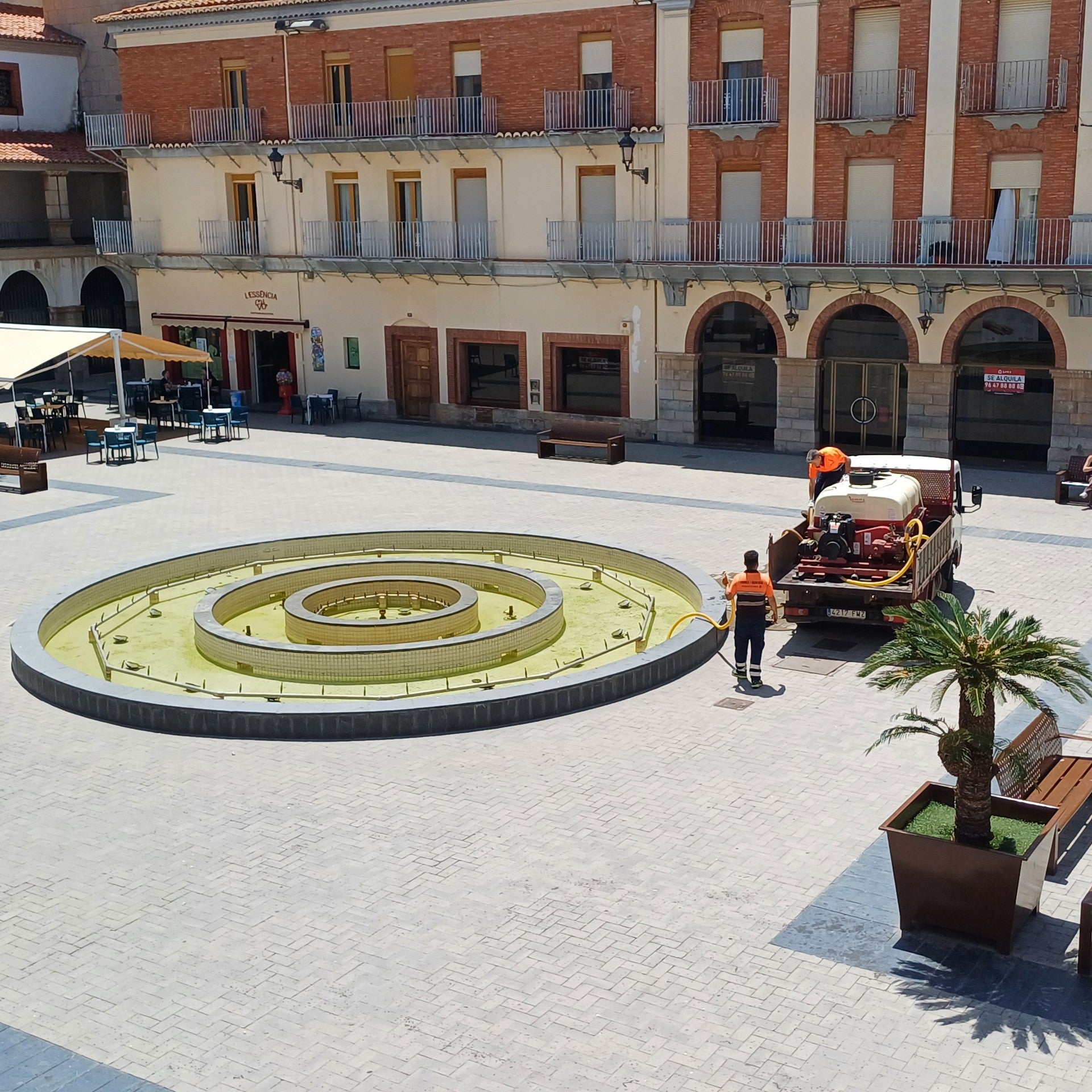 Reutilizar el agua de las fuentes públicas para el riego del arbolado de la vía pública Reutilizar el agua de las fuentes públicas para el riego del arbolado de la vía pública
