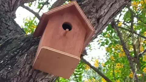 Una de las casitas para pájaros en un colegio de Puerto Real Una de las casitas para pájaros en un colegio de Puerto Real