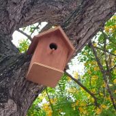 Una de las casitas para pájaros en un colegio de Puerto Real