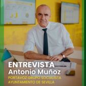 Más de uno Sevilla
