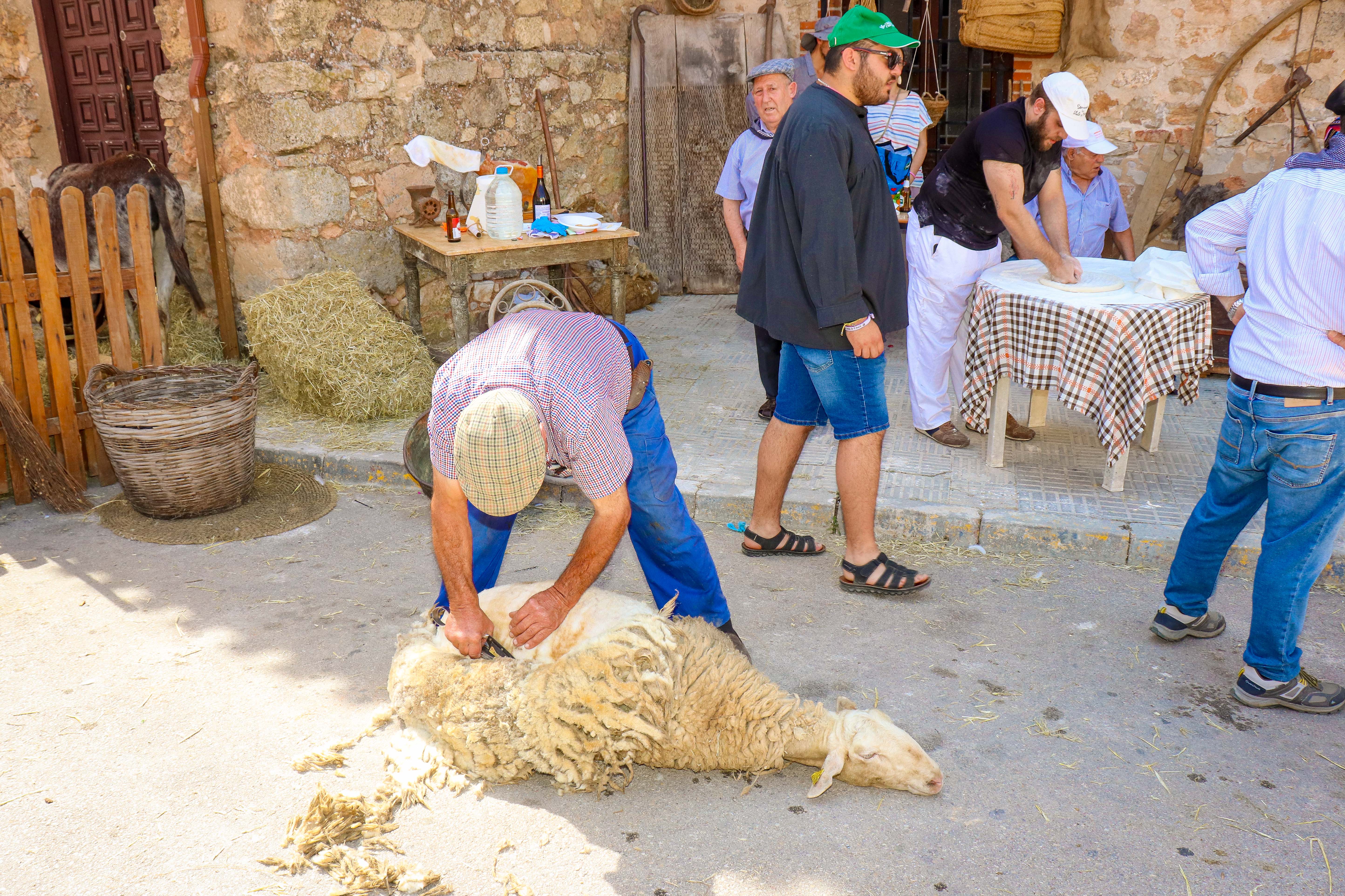 La XVIII Feria de Tradiciones y Artesanía llega a El Bonillo La XVIII Feria de Tradiciones y Artesanía llega a El Bonillo