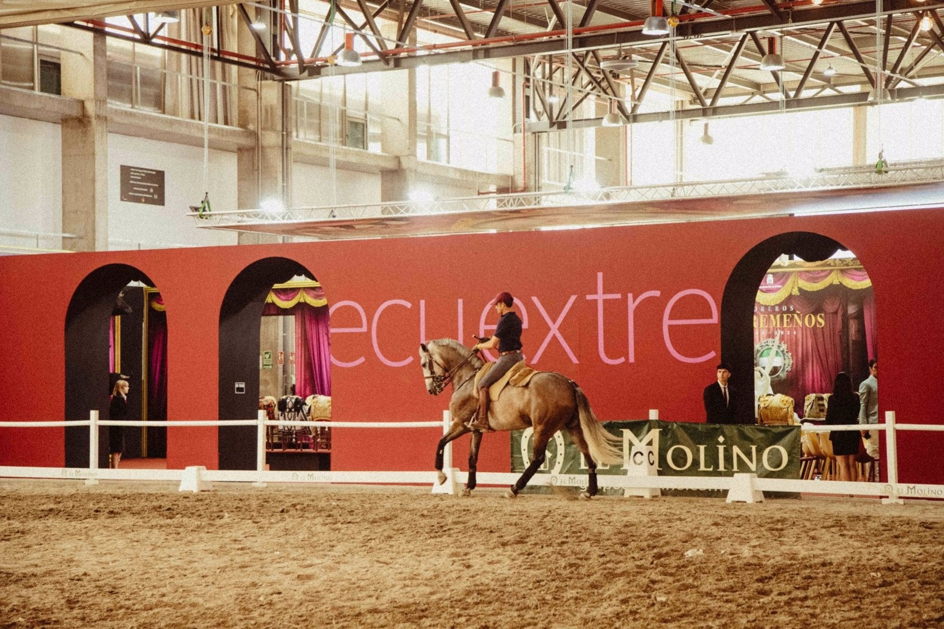 Arranca Ecuextre 2026 en Ifeba (Badajoz) la gran cita ibérica dedicada al mundo del caballo y el toro Arranca Ecuextre 2026 en Ifeba (Badajoz) la gran cita ibérica dedicada al mundo del caballo y el toro
