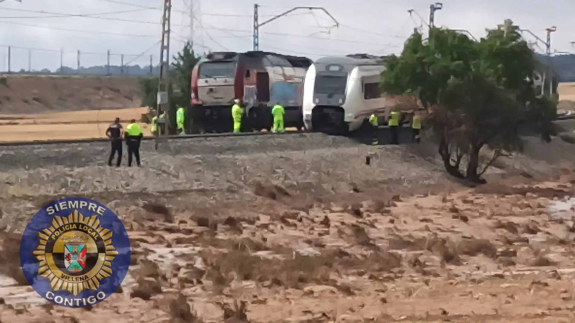 El tren accidentado en La Encina.