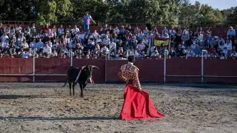 14.500 euros para festejos taurinos en zonas en riesgo de despoblación 14.500 euros para festejos taurinos en zonas en riesgo de despoblación