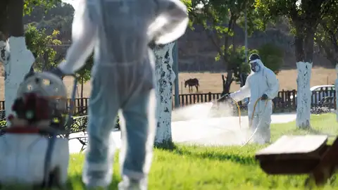 Un operario fumiga unos jardines en La Puebla del Río en una imagen de archivo. Un operario fumiga unos jardines en La Puebla del Río en una imagen de archivo.