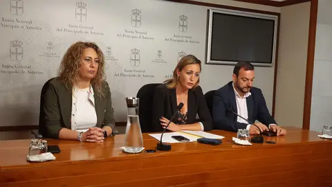 Mieres y Lena exigen más paradas de los Avril Mieres y Lena exigen más paradas de los Avril