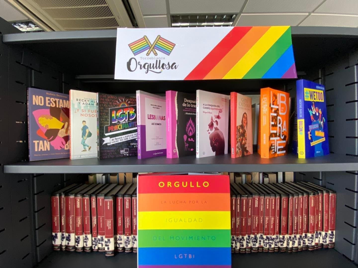Denuncian la "desaparición" de la sección LGTBI de la biblioteca de Torreblanca Denuncian la "desaparición" de la sección LGTBI de la biblioteca de Torreblanca