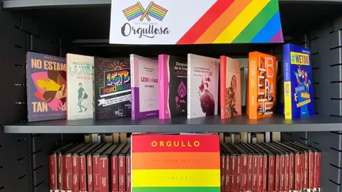 Sección lgtbi Sección lgtbi
