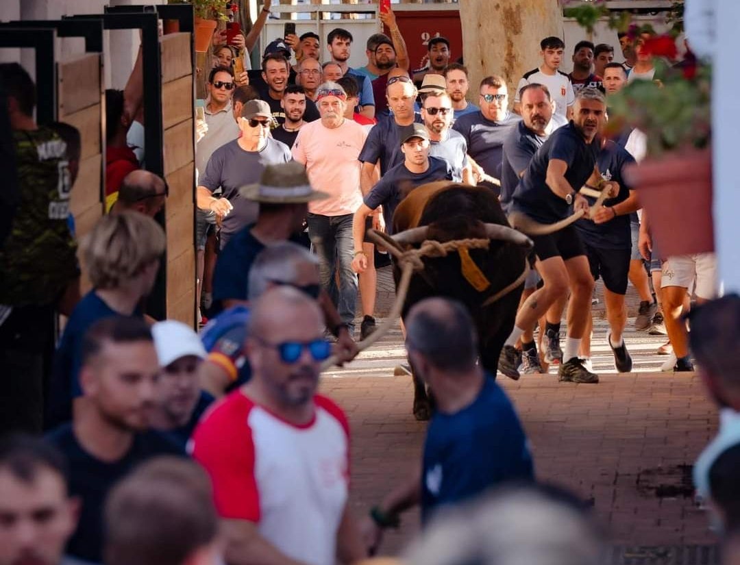 La fiesta del toro de cuerda en Beas de Segura La fiesta del toro de cuerda en Beas de Segura