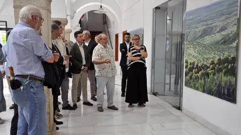 Ramón de Arcos expone en la Asamblea la muestra pictórica "Paisaje vario" Ramón de Arcos expone en la Asamblea la muestra pictórica "Paisaje vario"