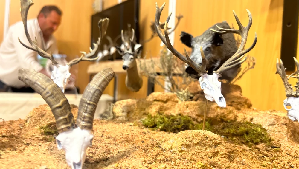 Taxidermia Taxidermia