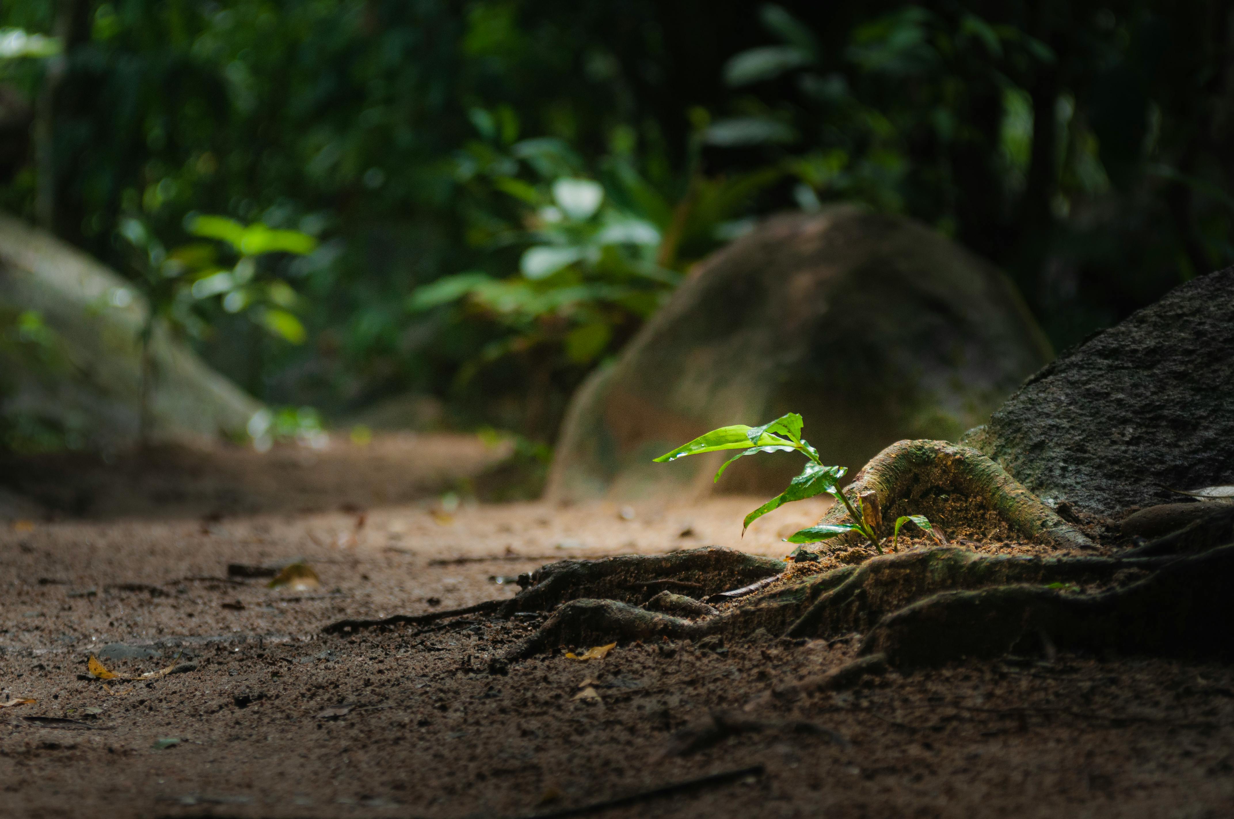 Qué implica la nueva Ley de Restauración de la Naturaleza de la UE y por qué ha costado tanto aprobarla Qué implica la nueva Ley de Restauración de la Naturaleza de la UE y por qué ha costado tanto aprobarla