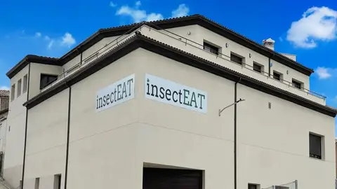 InsectEat InsectEat