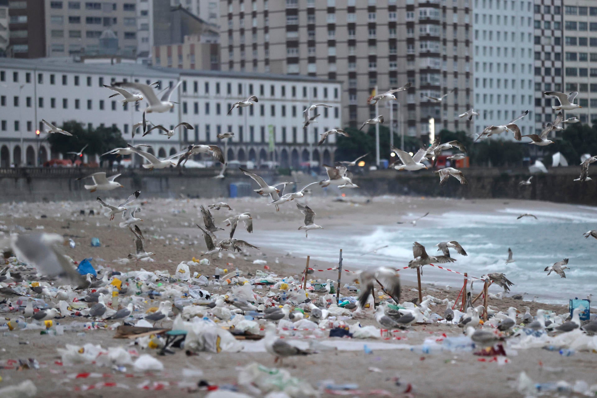 El estado de las playas españolas tras la noche de San Juan: toneladas de basura y ceniza El estado de las playas españolas tras la noche de San Juan: toneladas de basura y ceniza
