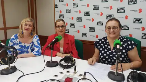 Asociación de Dulcineas y Damas Manchegas Asociación de Dulcineas y Damas Manchegas