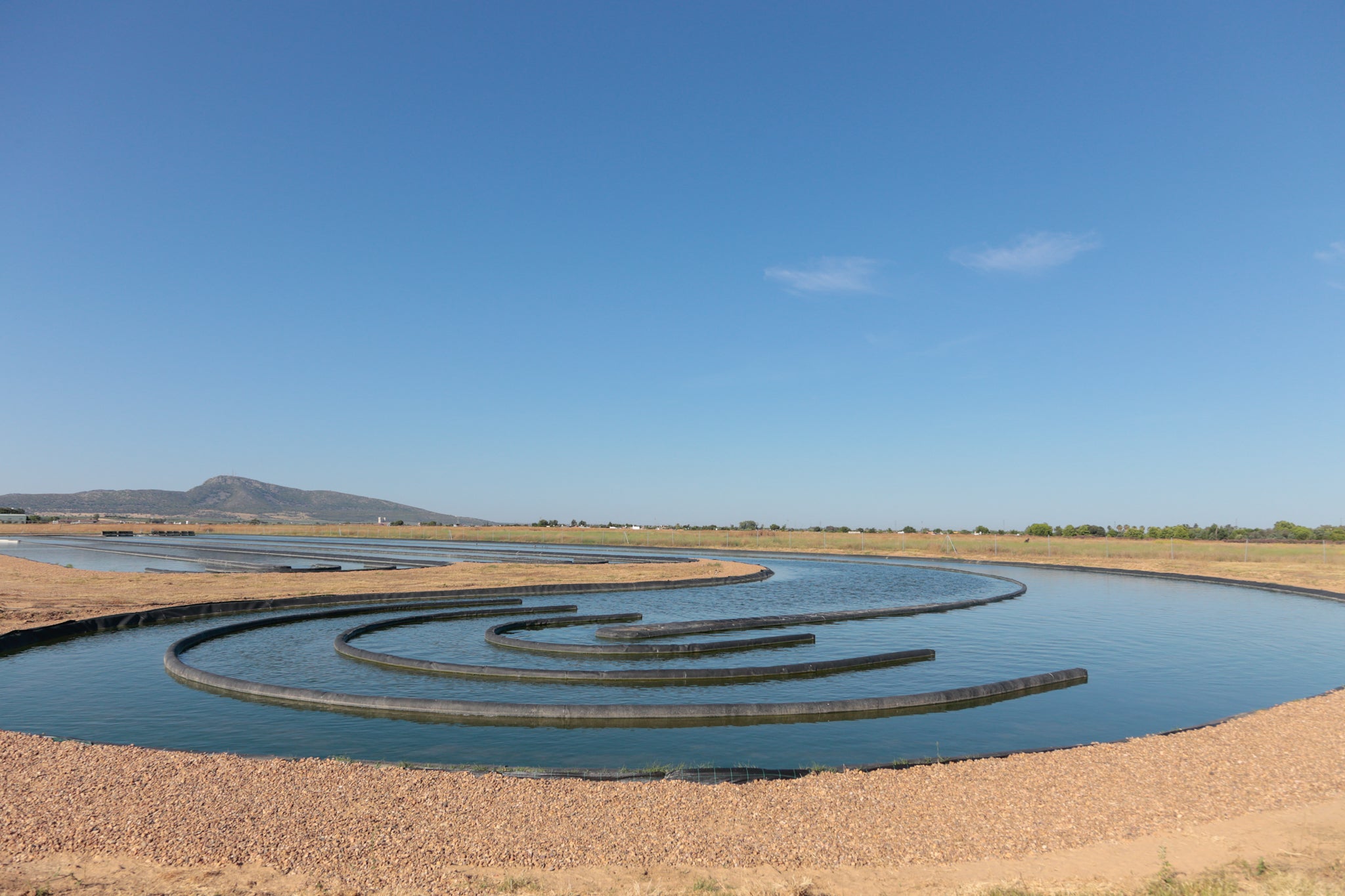 Inaugurada en Mérida la mayor planta de tratamiento de aguas residuales de Europa basada en microalgas Inaugurada en Mérida la mayor planta de tratamiento de aguas residuales de Europa basada en microalgas