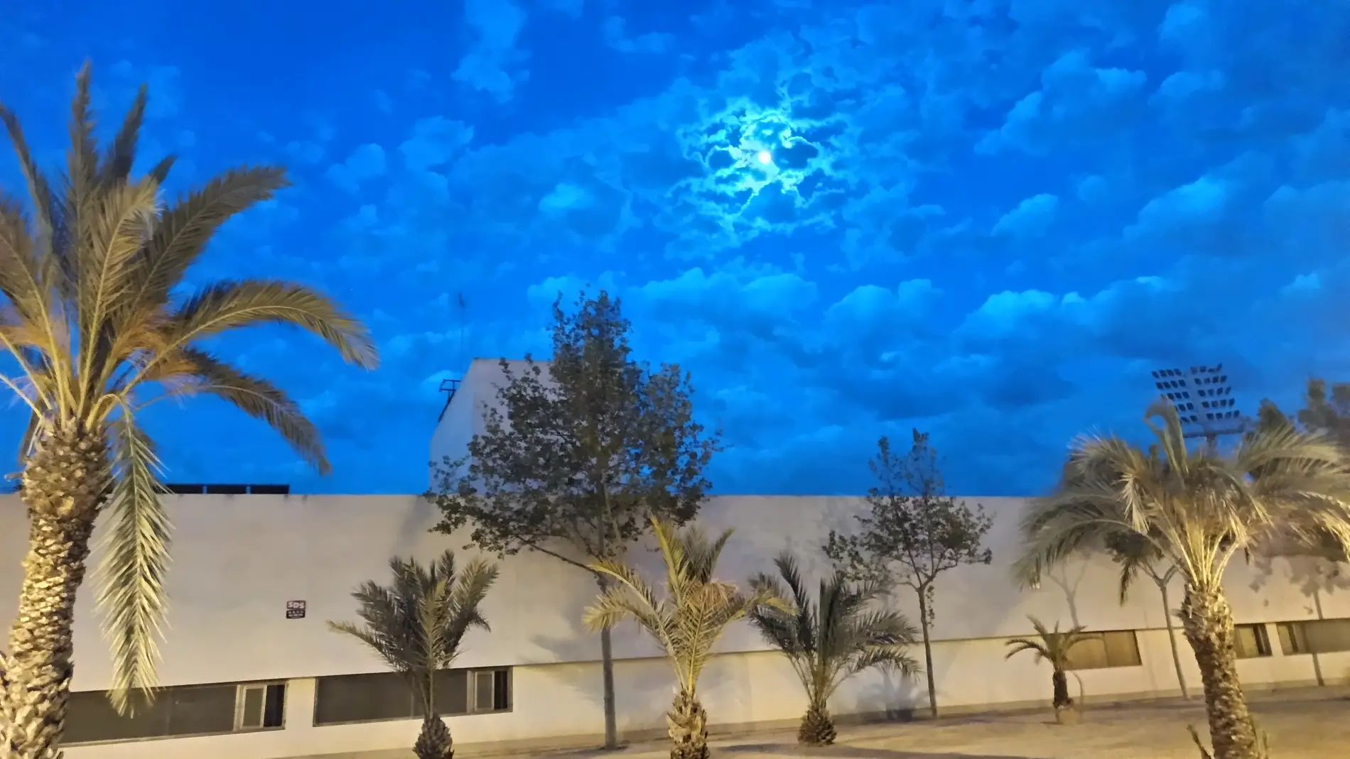 Las nubes tapan la luna en un amanecer en Elche. Las nubes tapan la luna en un amanecer en Elche.