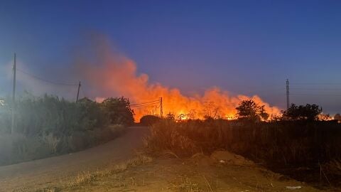 Incendio de pastos en Badajoz