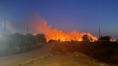 Incendio de pastos en Badajoz Incendio de pastos en Badajoz