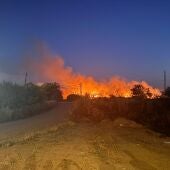 Incendio de pastos en Badajoz