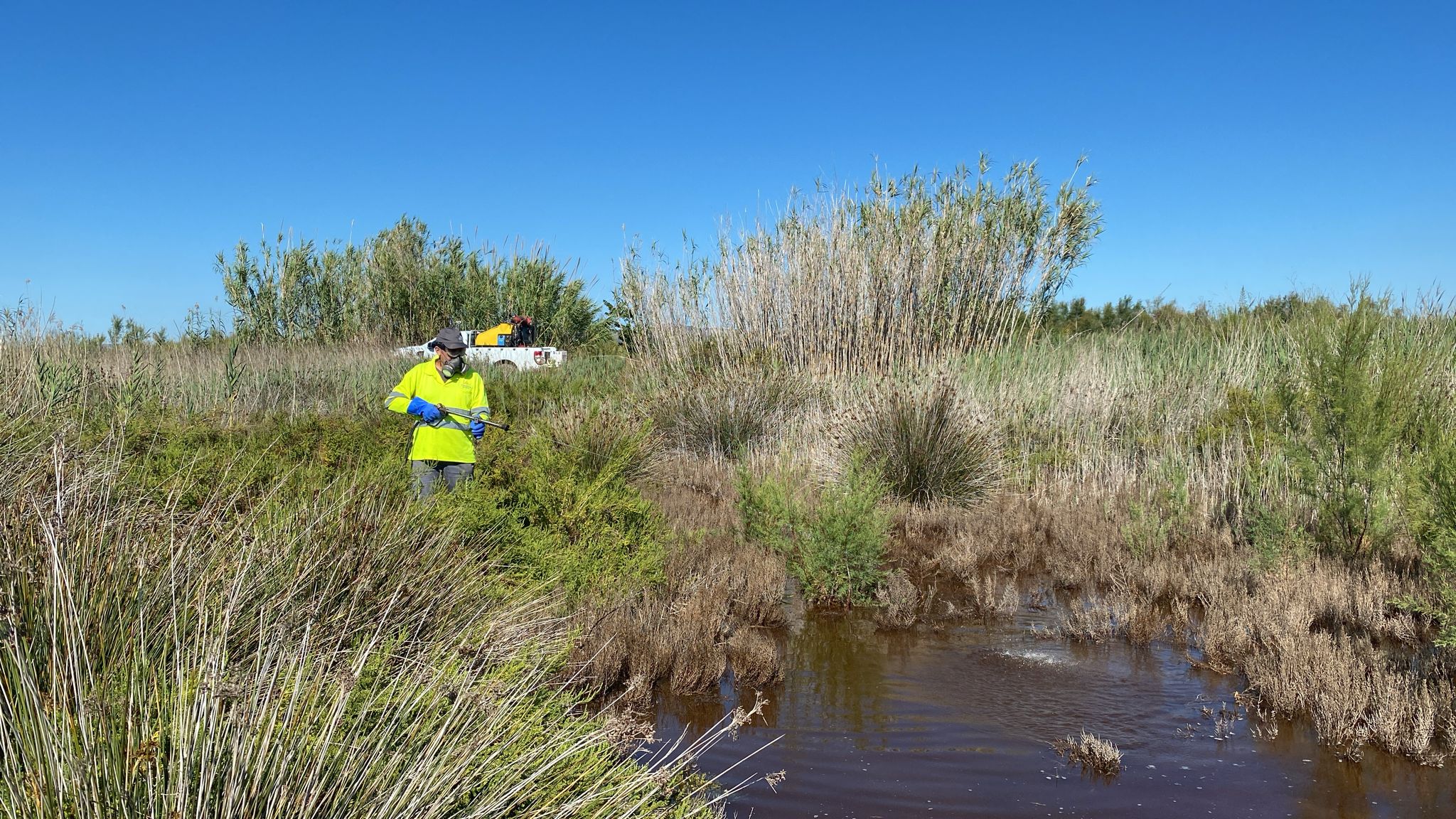 La Diputación de Castellón intensifica las fumigaciones contra los mosquitos tras las últimas lluvias registradas La Diputación de Castellón intensifica las fumigaciones contra los mosquitos tras las últimas lluvias registradas