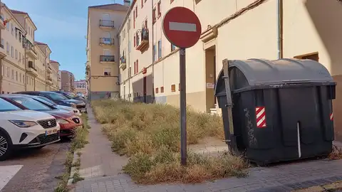 Los vecinos de la calle Gutiérrez Mellado reclaman al Ayuntamiento el desbroce de las zonas verdes Ayuntamiento de Segovia
