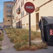  Los vecinos de la calle Gutiérrez Mellado reclaman al Ayuntamiento el desbroce de las zonas verdes