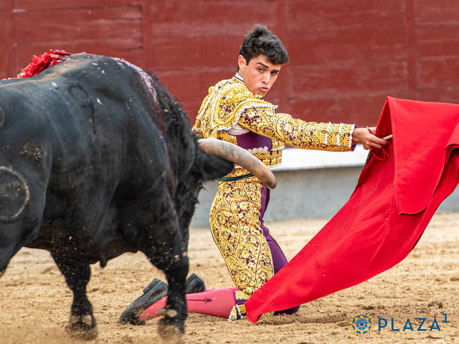 Jarocho, dispuesto a triunfar en Pamplona Jarocho, dispuesto a triunfar en Pamplona