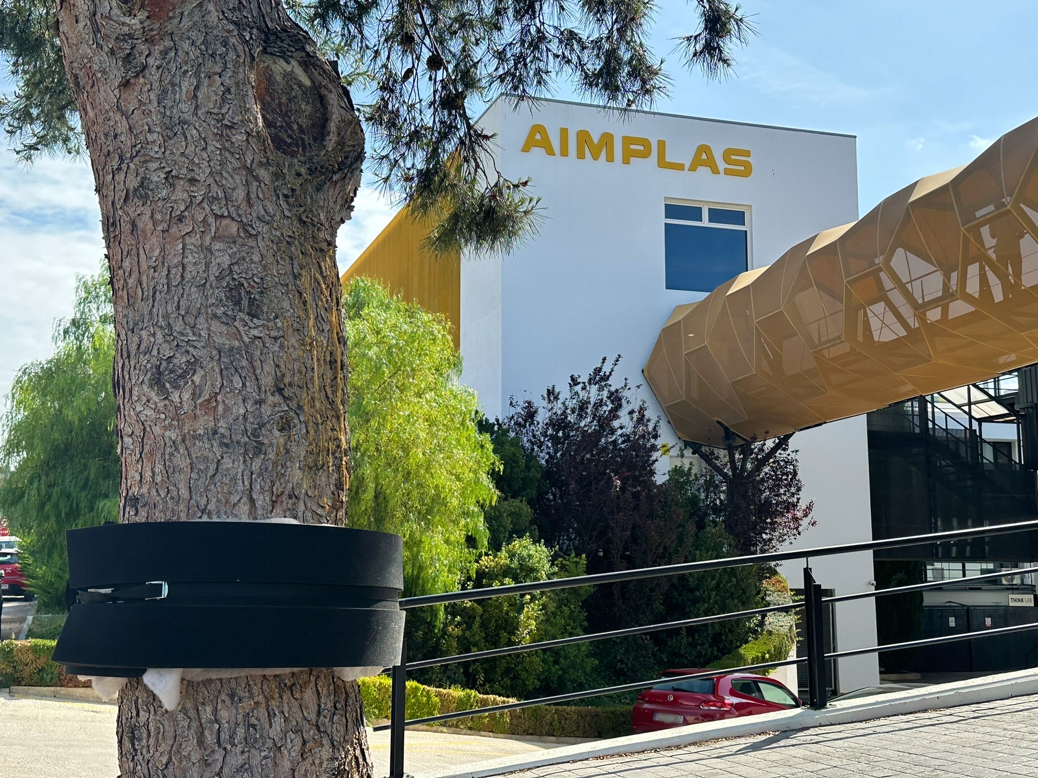 AIMPLAS ataca sin químicos la mariposa "lagarta peluda" para evitar que arrase los bosques mediterráneos AIMPLAS ataca sin químicos la mariposa "lagarta peluda" para evitar que arrase los bosques mediterráneos