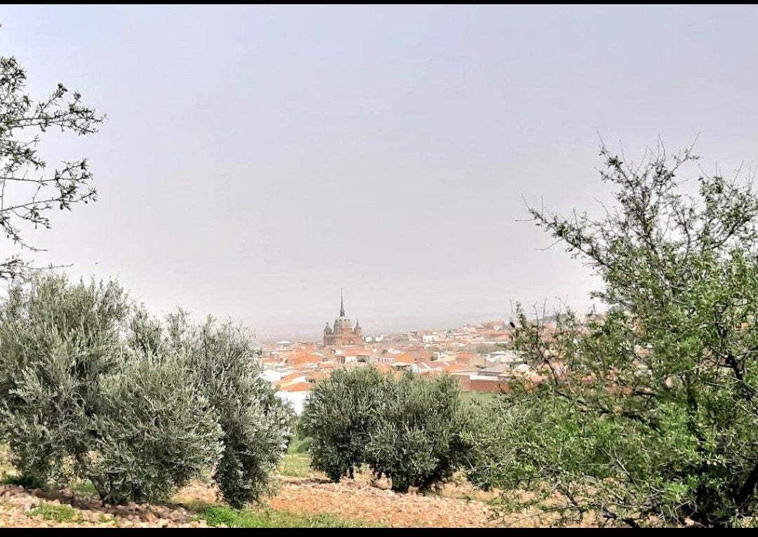 El Ayuntamiento de San Carlos del Valle aprobará una moción de rechazo a la minería de tierras raras El Ayuntamiento de San Carlos del Valle aprobará una moción de rechazo a la minería de tierras raras