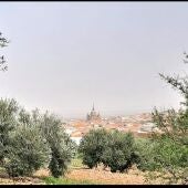 San Carlos del Valle vista a través de olivares