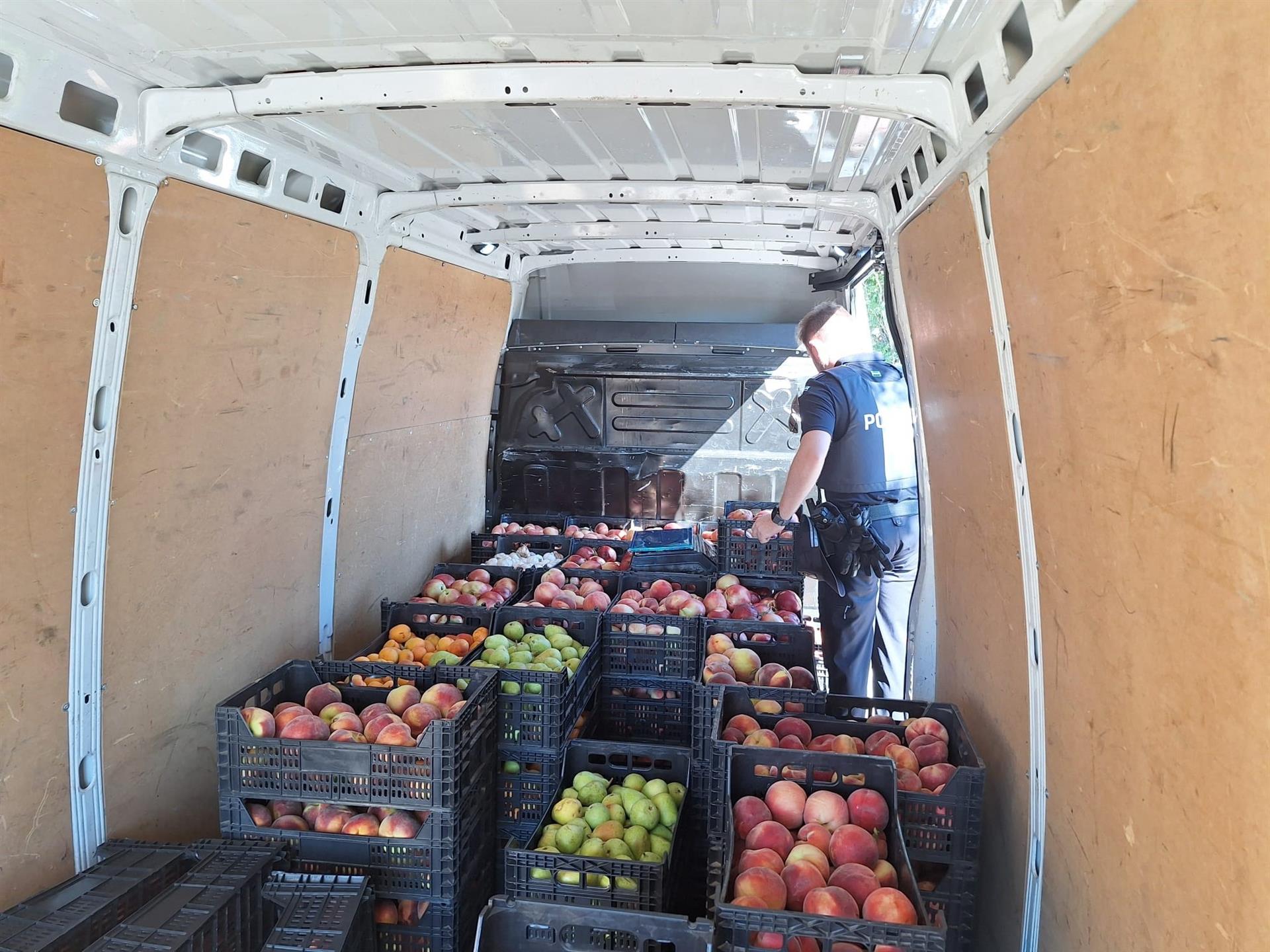 La Policía Local de Cáceres incauta en el mercadillo 800 kilos de fruta que se vendía sin licencia La Policía Local de Cáceres incauta en el mercadillo 800 kilos de fruta que se vendía sin licencia
