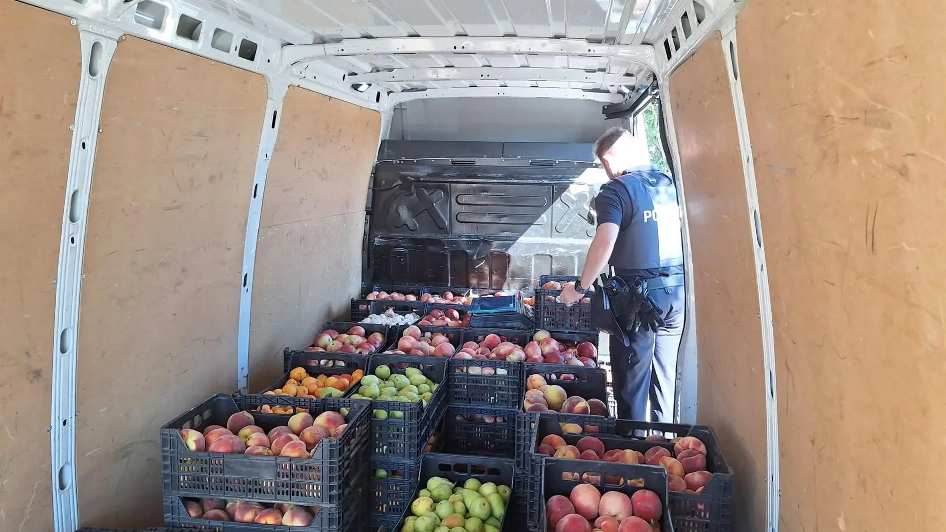 La Policía Local de Cáceres incauta en el mercadillo 800 kilos de fruta que se vendía sin licencia