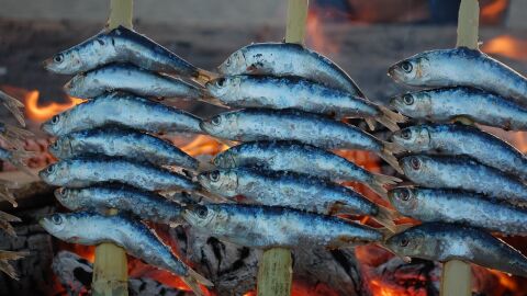Espetos sardinas M&aacute;laga