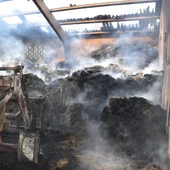 Detenido un extrabajador de una explotación ganadera por incendiar dos naves de Barrillos de las Arrimadas Detenido un extrabajador de una explotación ganadera por incendiar dos naves de Barrillos de las Arrimadas