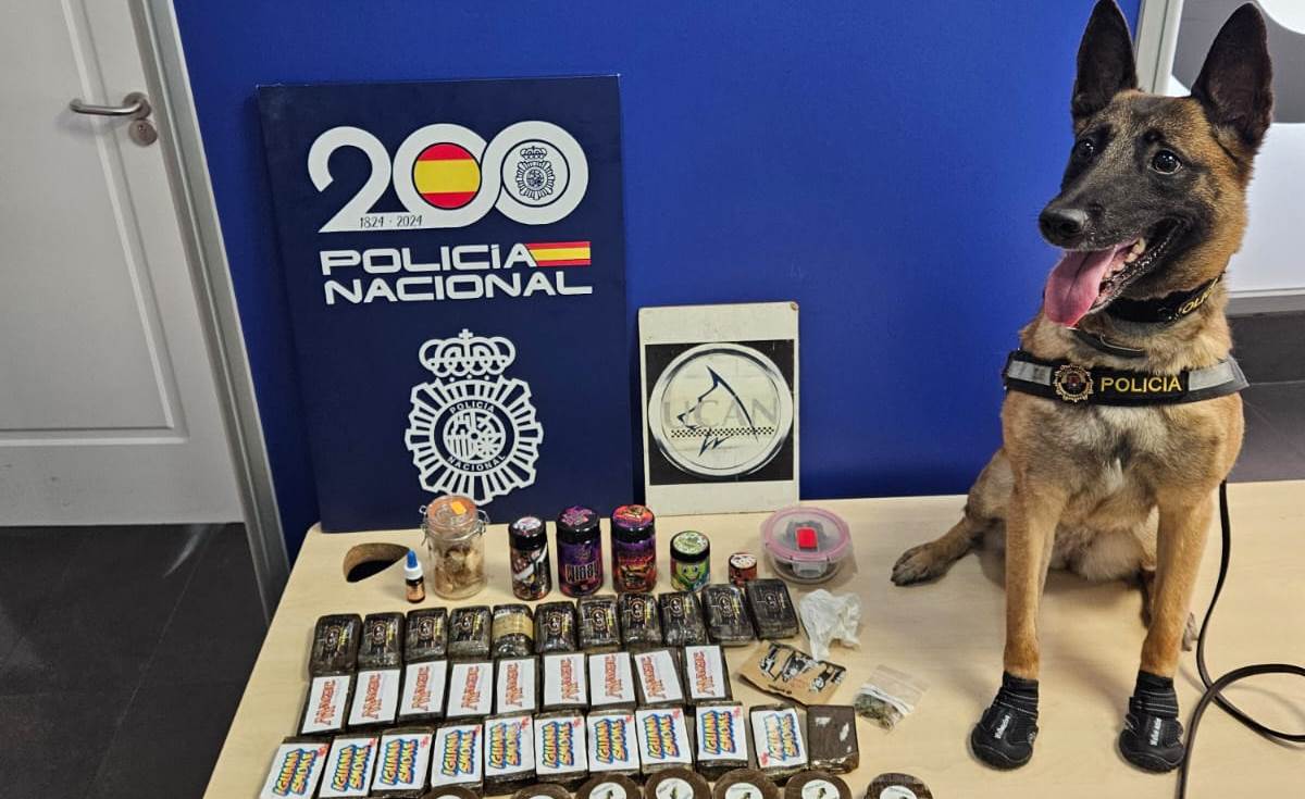 La perra 'Kata' de la policía local de Alicante vuelve a "morder" a narcotraficantes La perra 'Kata' de la policía local de Alicante vuelve a "morder" a narcotraficantes