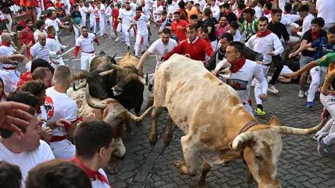 Dos toros arrollan a un cabestro durante el primer encierro de los Sanfermines 2024 Dos toros arrollan a un cabestro durante el primer encierro de los Sanfermines 2024