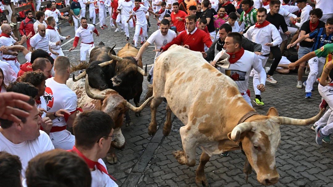 Dos toros arrollan a un cabestro durante el primer encierro de los Sanfermines 2024