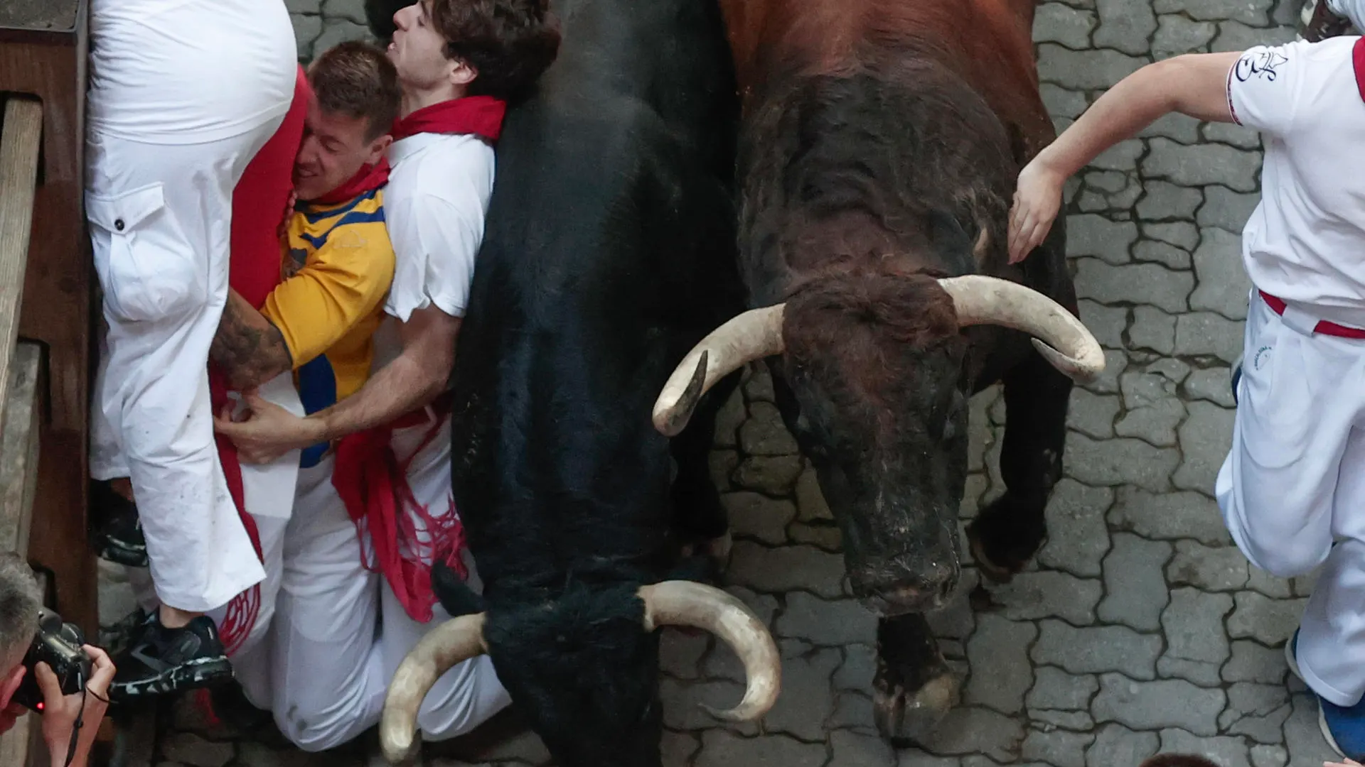 Segundo Encierro San Fermín 2024 Segundo Encierro San Fermín 2024