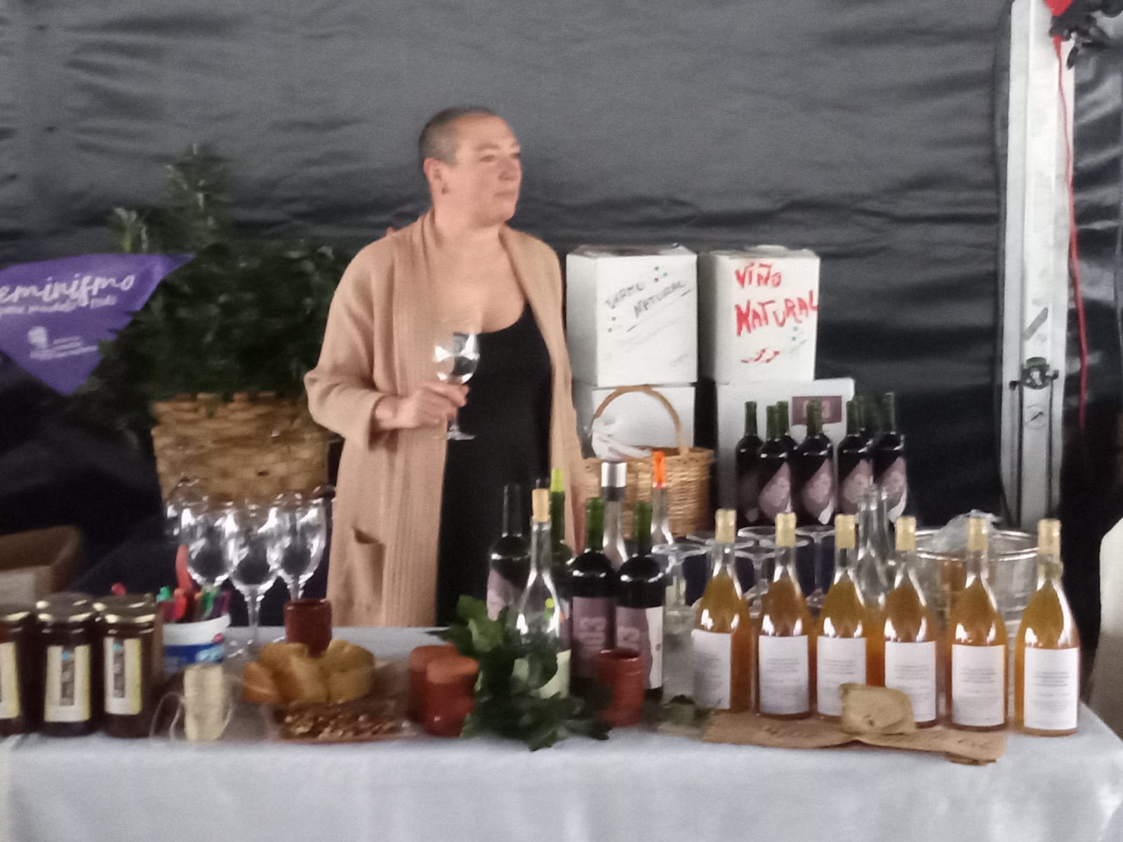 A Deputación adícalle o 8 de xullo ás mulleres viticultoras da provincia A Deputación adícalle o 8 de xullo ás mulleres viticultoras da provincia