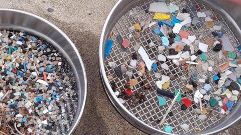 Estudios de mircropl&aacute;sticos en Canarias y la Macaronesia (proyecto Implamac)