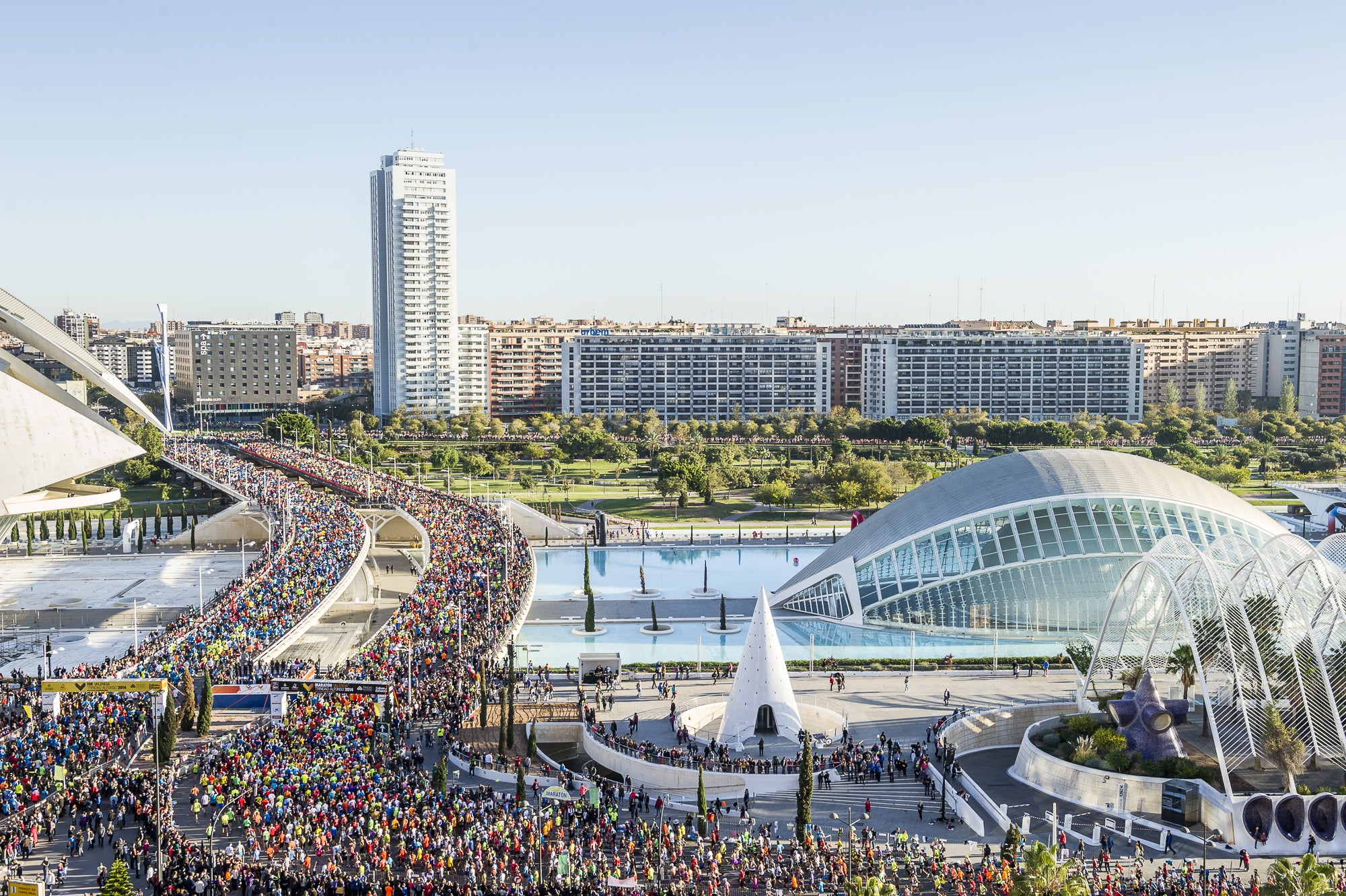 El Medio y el Maratón Valencia buscan 4000 voluntarios El Medio y el Maratón Valencia buscan 4000 voluntarios