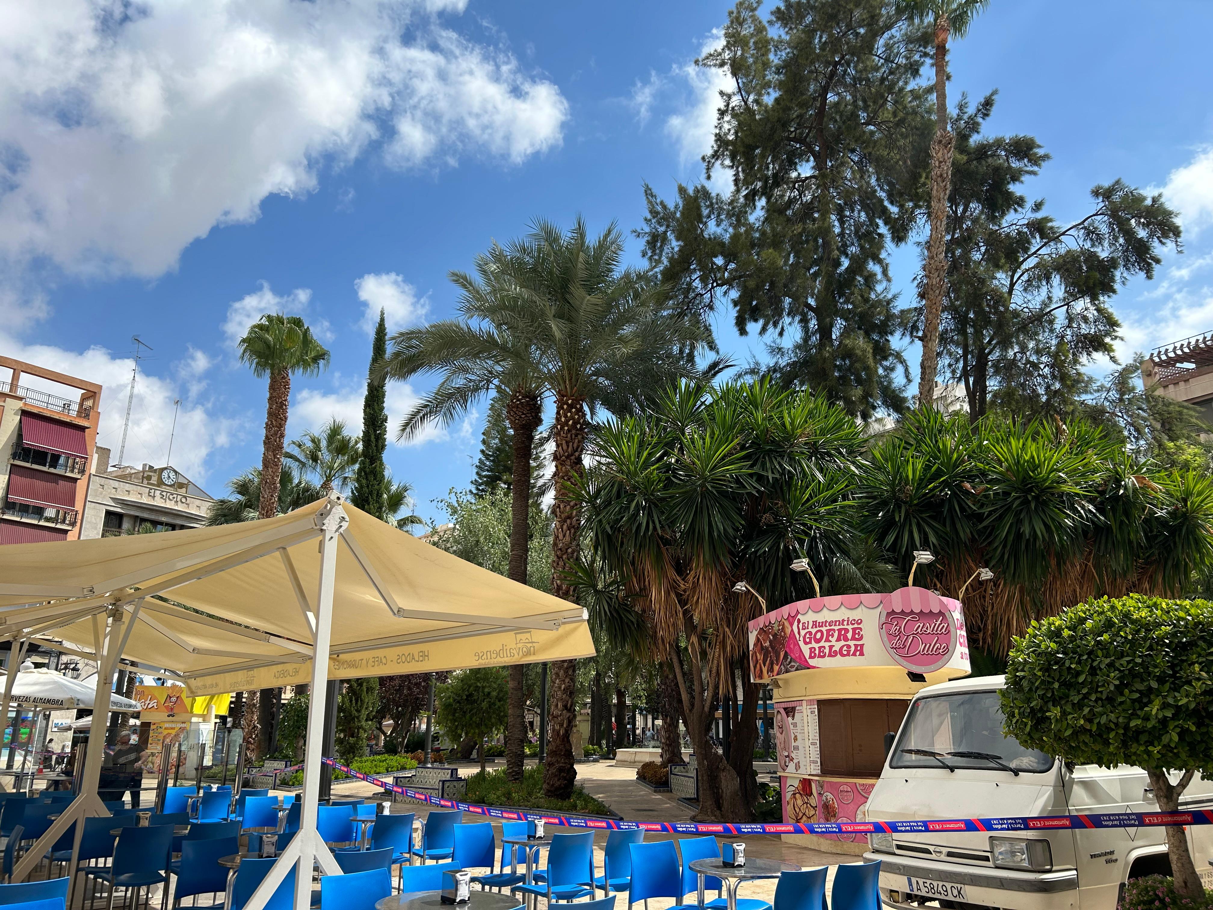 La caída de la palmera de la plaza Glorieta acelera el análisis de todos los ejemplares que hay en espacios públicos de Elche La caída de la palmera de la plaza Glorieta acelera el análisis de todos los ejemplares que hay en espacios públicos de Elche
