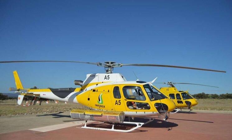 El Infoex intervenía en 18 incendios forestales durante esta última semana, afectando a unas 1.270 hectáreas El Infoex intervenía en 18 incendios forestales durante esta última semana, afectando a unas 1.270 hectáreas