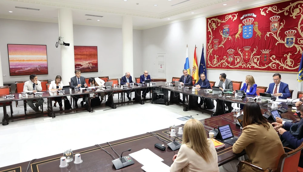 Comisión parlamentaria de investigación de la compra de material sanitario en Canarias Comisión parlamentaria de investigación de la compra de material sanitario en Canarias