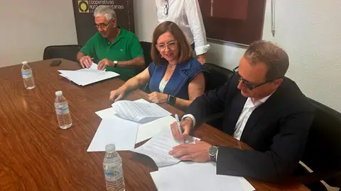 Mercedes Morán celebra la prórroga del acuerdo entre Ibertabaco y Deltafina que refleja la importancia del sector tabaquero extremeño Mercedes Morán celebra la prórroga del acuerdo entre Ibertabaco y Deltafina que refleja la importancia del sector tabaquero extremeño