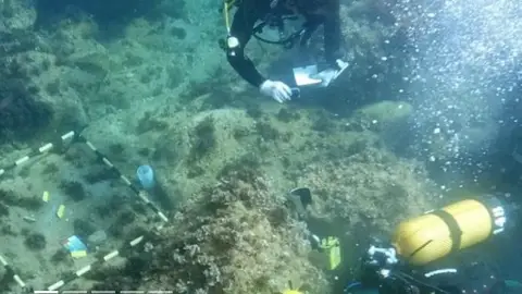 Pecio Bou Ferrer Pecio Bou Ferrer